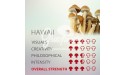 Magic Mushrooms Grow Kit Hawaii, Supra GrowKit 100% Mycelium