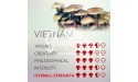 Kit de cultivo de setas Psilocybe Cubensis Vietnam, Supra GrowKit 100% Micelio