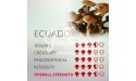 Magic Mushrooms Grow Kit Ecuador, Supra GrowKit 100% Mycelium