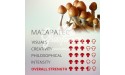 Magic Mushrooms Grow Kit Mazapatec, Supra GrowKit 100% Mycelium