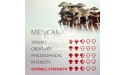 Magic Mushrooms Gro Kit Mexicana, Supra GrowKit 100% Mycelium