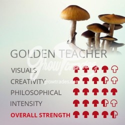 Magic Mushrooms Grow Kit Golden Teacher, Supra GrowKit 100% Mycelium