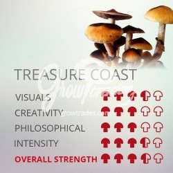 Magic Mushrooms Grow Kit Treasure Coast, Supra GrowKit 100% Mycelium