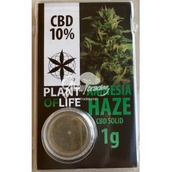 CBD Sólido Amnesia Haze 10% (Plant of Life)