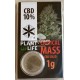 Critical Mass CBD Solid 10% (Plant of Life)