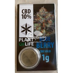 CBD Sólido Blue Berry 10% (Plant of Life)