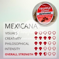 Kit de cultivo de trufas mágicas Mexicana