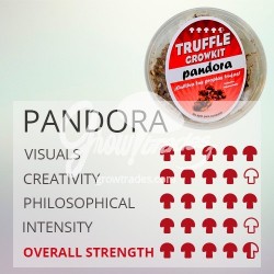 Magic Truffle Grow Kit Pandora