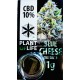 Blue Cheese CBD Solid 10% (Plant of Life)