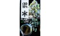 Blue Cheese CBD Solid 10% (Plant of Life)