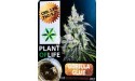 Gorila Glue CBD Solid 3,8% (Plant of Life)