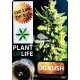 INCIENSO CBD Sólido OG Kush 3,8% (Plant of Life)