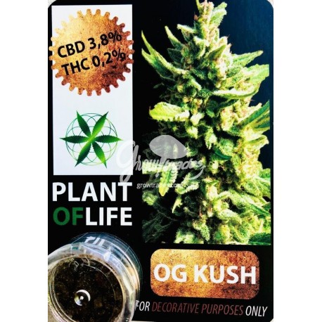 OG Kush CBD Solid 10% (Plant of Life)