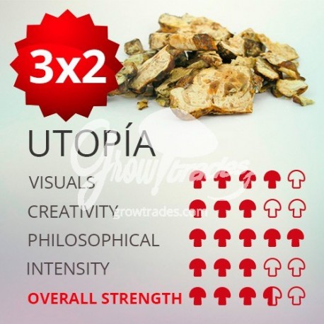 Trufas mágicas psilocybe Utopía