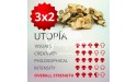 3x2 Trufas mágicas psilocybe Utopía