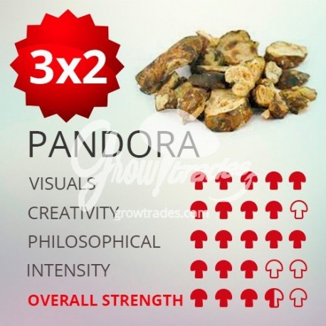 Trufas mágicas psilocybe Pandora