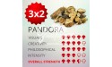 3x2 Trufas mágicas psilocybe Pandora