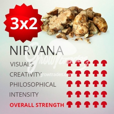 3x2 Trufas mágicas psilocybe Nirvana