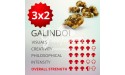 3x2 Trufas mágicas psilocybe Galindoi