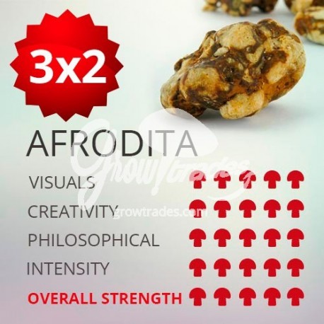 Trufas mágicas psilocybe Afrodita