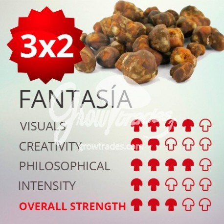 3x2 Trufas mágicas psilocybe Fantasia