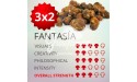 3x2 Trufas mágicas psilocybe Fantasia
