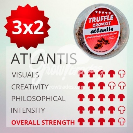 Kit de cultivo de trufas mágicas Atlantis