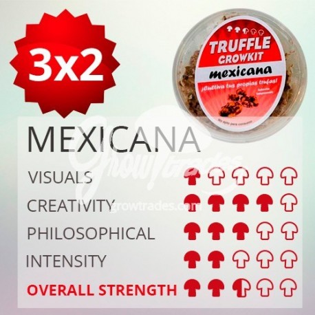 Kit de cultivo de trufas mágicas Mexicana