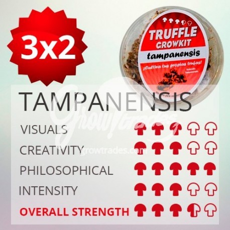 Kit de cultivo de trufas mágicas Tampanensis
