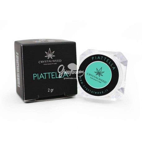 CBD Hash Piattella
