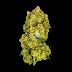 Amnesia Gran Reserva ~ Flor de CBD