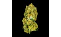 Amnesia Gran Reserva ~ Flor de CBD