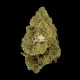 Amnesia Gran Reserva ~ Flor de CBD