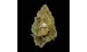Lemon Haze Gran Reserva ~ Flor de CBD
