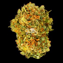 Amnesia Gran Reserva ~ Flor de CBD