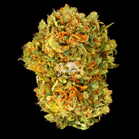 AK47 ~ Flor de CBD