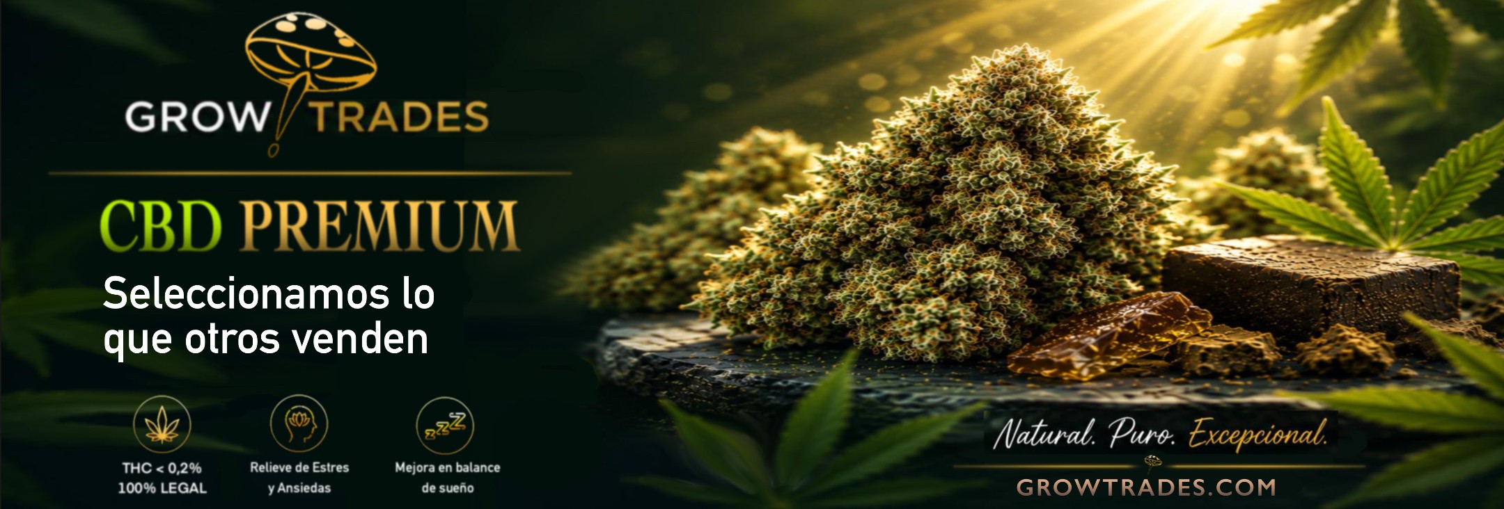 CBD