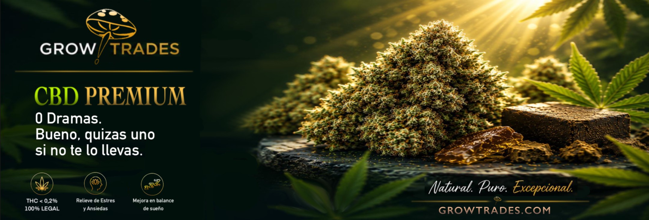CBD