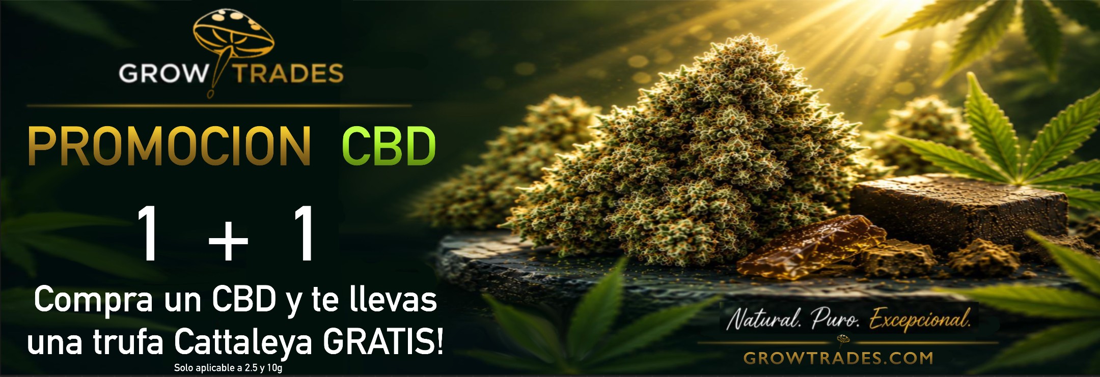 CBD