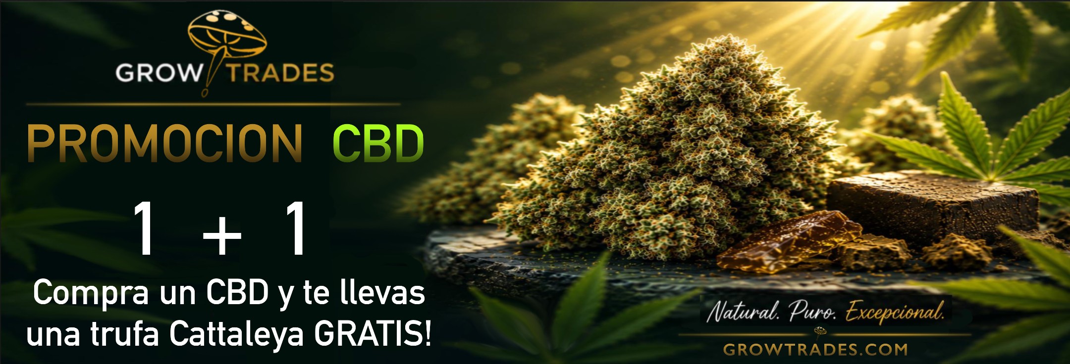 CBD