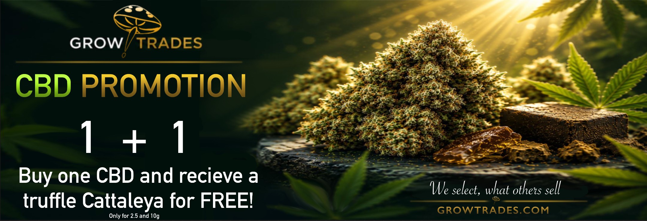 CBD Promotion
