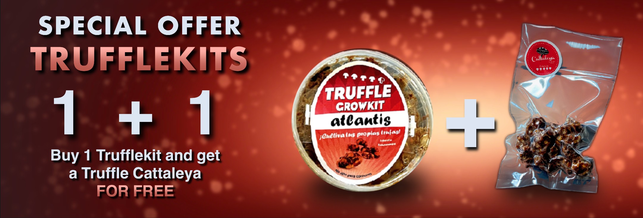 TruffleKit + trufa gratis